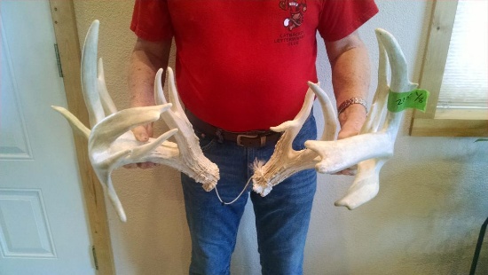 215" Whitetail Sheds