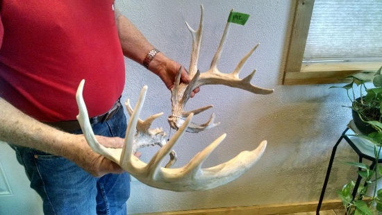 192" Whitetail Sheds