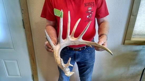 89" Whitetail Shed