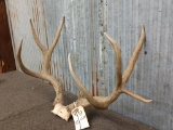 4x4 Mule Deer Rack With Flyer