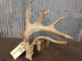 Main Frame 5 Point Whitetail Shed