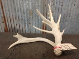 Main Frame 3 Point Whitetail Shed