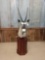 African Gemsbok pedestal mount