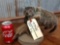 Full body mount juvenile groundhog relaxing on driftwood