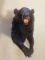 Smaller 3/4 Black Bear Mount