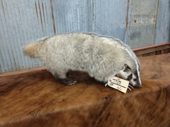 Full body mount Badger new mount