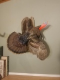 Double Beard Nice Flying Turkey Full Body Mount