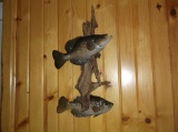 2 Crappies On Driftwood