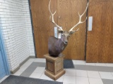 Pedestal Mount Sika Deer