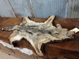 African Jackal Rug