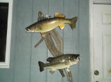 real Skin Fish Mounts Walleye & Largemouth Bass On Driftwood Hanger