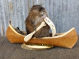 Muskrat In A Canoe