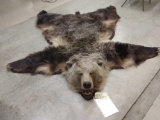 Vintage Grizzly Bear Rug HUGE Claws