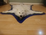 New Mount Large Canadian White Wolf Rug