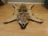 Canadian Wolf Rug Double Felt on Board back for hanging