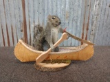 Squirrel In A Canoe