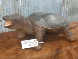 Vintage full body mount snapping turtle