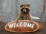 Welcome Sign Raccoon