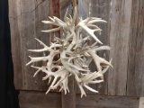 Outstanding Deer Antler Chandelier