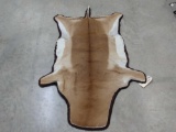 African antelope rug