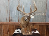 4x5 Whitetail Table Top Pedestal Mount