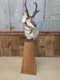 Antelope Pedestal Mount