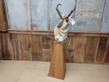 Pedestal Mount Antelope