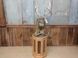 5x5 Whitetail Pedestal Mount