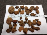 Nice group of Corpolite Fossilized Turtle Poop Mt. St. Hellens Washington St