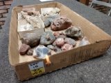 Fossilized Coral & Agate Lot