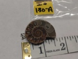 Fossilized Ammonite Necklace Pendant