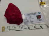 1140.00ct Natural Ruby In The Rough