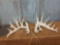 Mainframe 6 x 8 Whitetail sheds