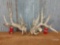 Mainframe 4X5 Whitetail sheds