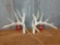 Mainframe 6 x 5 Whitetail sheds