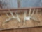 170 Class 6x5 Whitetail Sheds North Dakota