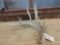 Big Main Frame 5 point Whitetail shed