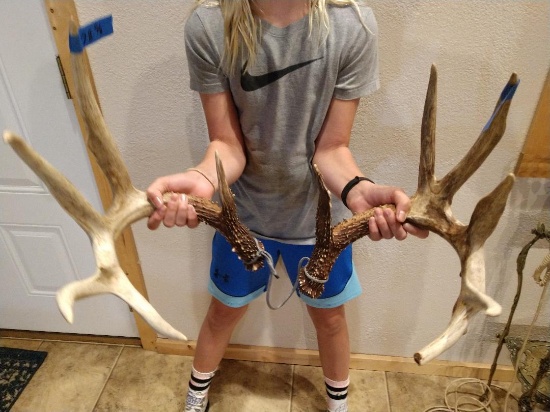 178" Canadian Whitetail Sheds