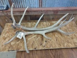 Pair Of Elk Sheds 9.8lbs