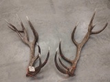 300 class Red Stag sheds