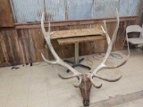 390 Class Elk Rack On Skull