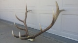 Nice 5x5 elk rack