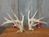 Mainframe 6 x 5 Whitetail sheds