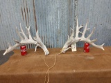 Mainframe 7 x 7 Whitetail sheds
