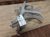 4 Nice Mule Deer Sheds