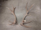 Set of 6 x 6 elk sheds