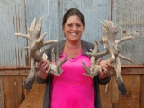Big Set Of 270 Class Cut Off Whitetail Antlers
