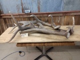 3 Big Elk Sheds 26 Lbs