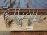 3 Gnarly Whitetail Sheds 7.8lbs Total
