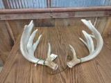 Main Frame 4x5 Whitetail Sheds